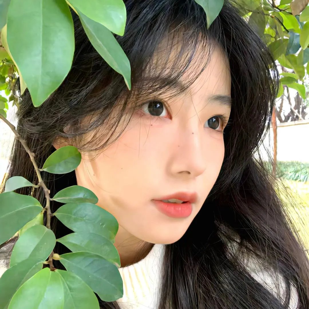 唯美貌不可辜负第二季